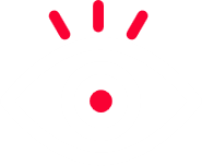 VISION